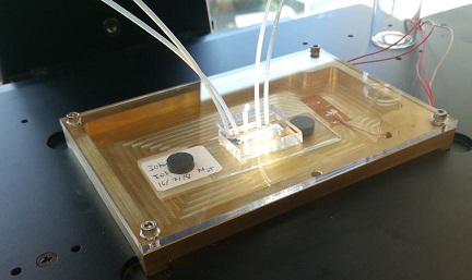 microfluidics in heating platform.